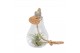 Tillandsia arrangement Tillandsia Glas lamp touw small 1 pp 