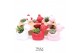 Succulenten TRULY Succulent, Bear 1 pp 