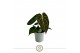 Anthurium clarinervium Clarinervium Mini 7cm 