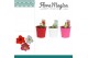 Hippeastrum Hippeastrum Mix 2 Knop Plastic ompot Linge 