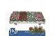 Dianthus mixkar 6 kleuren mixlaag 