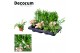 Kamerplanten mix Keen on Green mix decorum 