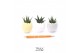 Arrangementen succulenten TRULY Succulent, Egg - mini 4 pp 