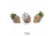 Arrangementen succulenten TRULY succulent, Pine cone (Ice Age) 1 pp 