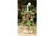 Arrangementen succulenten Kokodama Tree display (exclusive plants), 