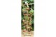 Arrangementen succulenten Kokodama Tree large exclusief 48 Kokodamas, 