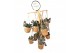 Succulenten mix Kokopot 16 Display 60 cm Succulent mix 