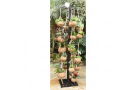 Hangplanten mix Kokodama Black Tree INCLUDING 48 best selling Kokodama