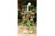 Hangplanten mix Kokodama Tree Small INCLUDING 24 best selling Kokodama 