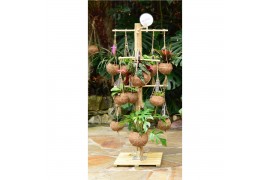 Hangplanten mix Kokodama Tree Small INCLUDING 24 best selling Kokodama