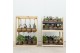 Kamerplanten mix + showdoos Kokodama Display Rack incl 40 Kokodamas (1 