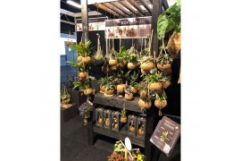 Hangplanten mix Kokodama Black Display table euro pallet size INCLUDIN