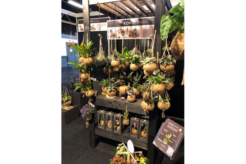 Hangplanten mix Kokodama Black Display table euro pallet size INCLUDIN 