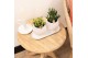 Huis- en tuindecoratie Kolibri home Plate white 