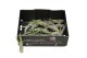 Tillandsia caput medusa bonsai 101952 baby 