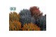 Aloe aristata Make Upz Mix 