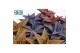 Gasteraloe aveo Make Upz Mix 