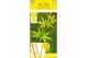 Acer palmatum bi hoo 