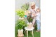 Acer palmatum mix 7 kleuren per cc 