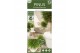 Pinus nigra summer breeze 40 cm cm stam 