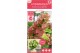 Hydrangea quercifolia ruby slippers 