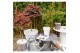 Acer palmatum mixlaag extra kwaliteit 