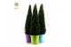 Buxus sempervirens pyramid 70cm in pot colour 