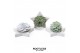 Arrangementen succulenten rootless echeveria mix in grey star 
