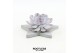 Arrangementen succulenten rootless succulent mix in grey star 