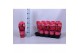 Paeonia rood Longlife 