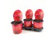Paeonia rood Longlife 