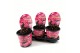 Paeonia roze Longlife 