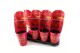 Paeonia rood Longlife 