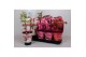 Paeonia mix Longlife 