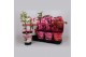 Paeonia mix Longlife 