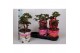 Paeonia mix Longlife 
