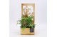 Arrangementen kamerplanten GRCR-2515 Green Essentials 2 pp 