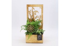 Arrangementen kamerplanten GRCR-2515 Green Essentials 2 pp