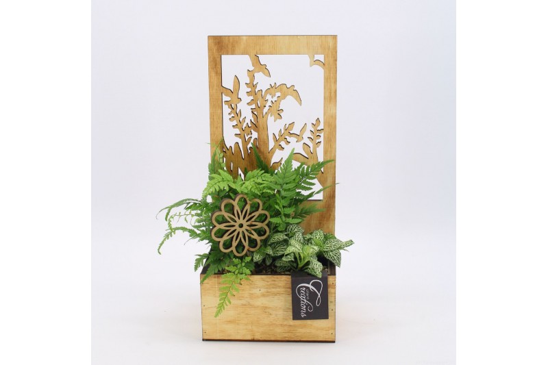 Arrangementen kamerplanten GRCR-2515 Green Essentials 2 pp Arrangementen kamerplanten GRCR-2515 Green Essentials 2 pp
