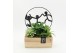 Arrangementen kamerplanten GRCR-2514 Green Essentials 3 pp 
