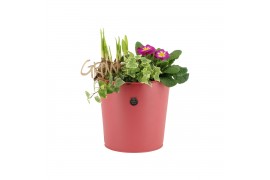 Arrangementen tuinplanten 11435: Outdoor spring arrangement 3 pp