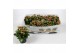 Kalanchoe paars favorita instyle met kraag 