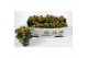 Kalanchoe rood favorita instyle met kraag 