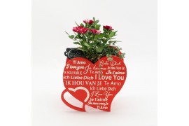 Arrangementen potroos l% RMCR-2527 Romantic creatie 2 pp