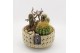Arrangementen cactus CTCR-2519 Cactus Essentials 3 pp 