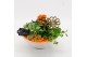 Arrangementen kamerplanten BACR-2501OR Basic fundamentals 3 pp 