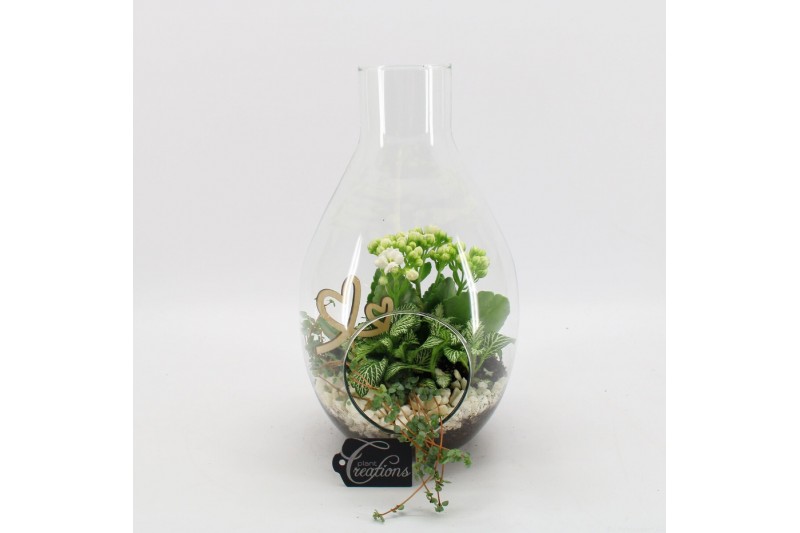 Arrangementen kamerplanten BARM-2506W Basic Romantic terrarium 3 pp Arrangementen kamerplanten BARM-2506W Basic Romantic terrarium 3 pp