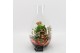 Arrangementen kamerplanten BARM-2506RZ Basic Romantic terrarium 3 pp 