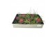 Tillandsia mix 101412 x25 