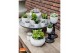 Cactus mix 5 soorten SuPure® - Cactus mix in Stockholm 7 spines 
